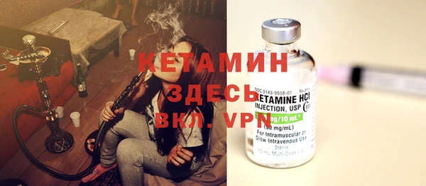 стаф Бородино