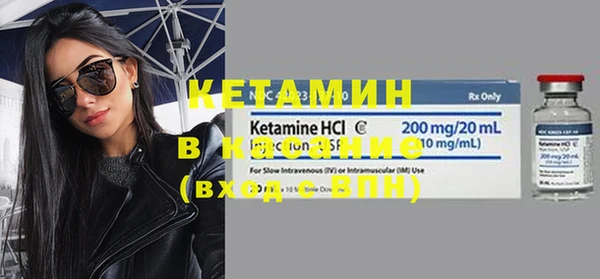 стаф Бородино