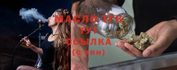 стаф Бородино