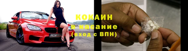 стаф Бородино