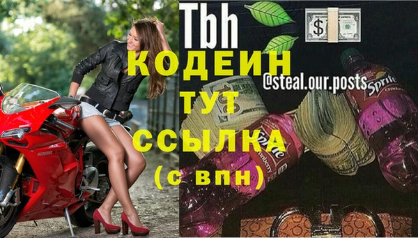 гашик Богородск
