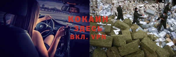 стафф Володарск
